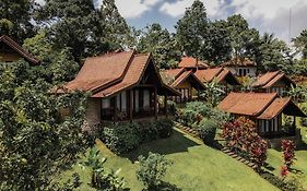 Bali Palms